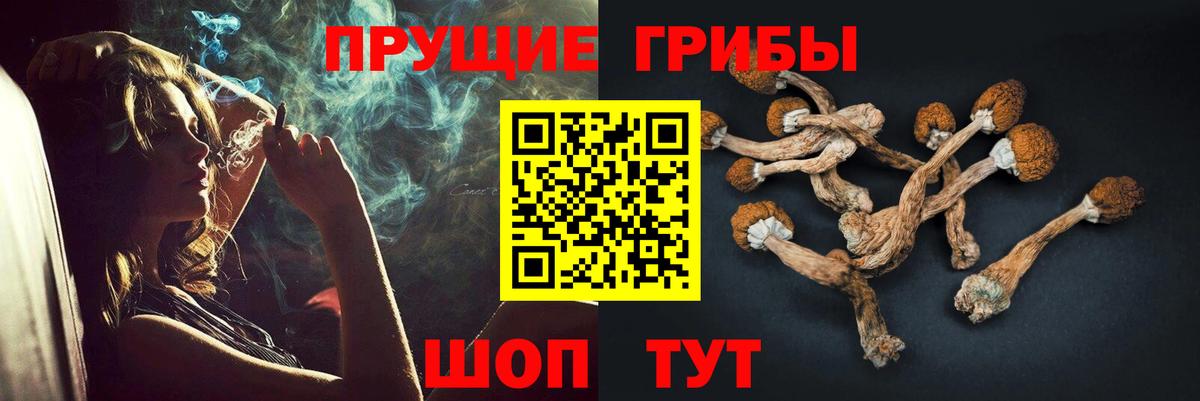 Галлюциногенные грибы Cubensis  Вход с VPN  Партизанск  Галлюциногенные грибы Psilocybe 